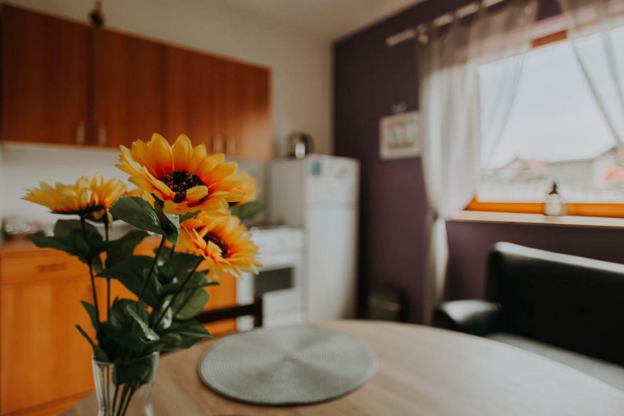 Apartmani Marin Vukovar Exteriör bild