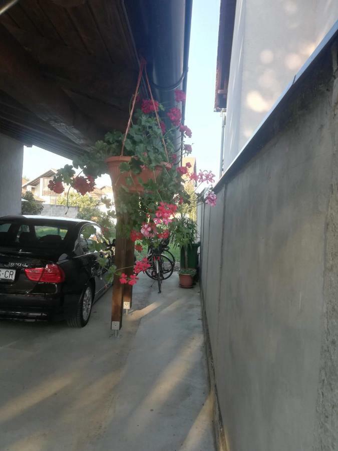 Apartmani Marin Vukovar Exteriör bild